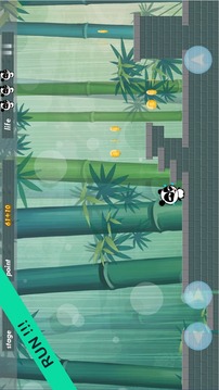 Jungle Panda Run HD游戏截图1