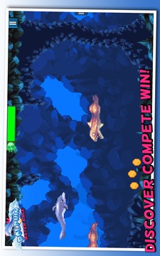 海豚水上竞赛游戏截图2