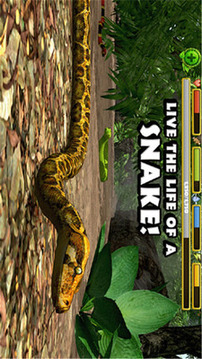 丛林蟒蛇模拟游戏截图1