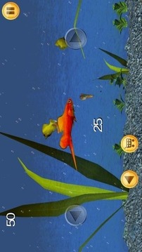 《珊瑚水族馆3D》游戏截图5