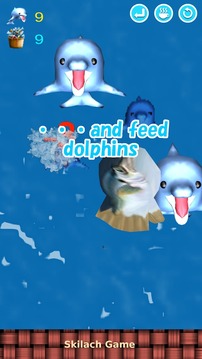 Feed Dolphins游戏截图5