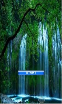 找到差异鸟游戏截图5