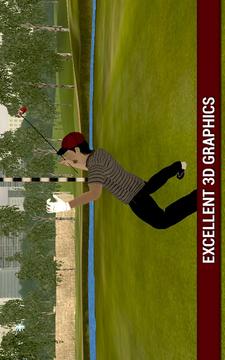 职业高尔夫玩3D游戏截图3