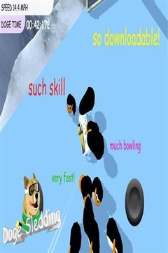 狗狗3D雪橇大赛游戏截图4