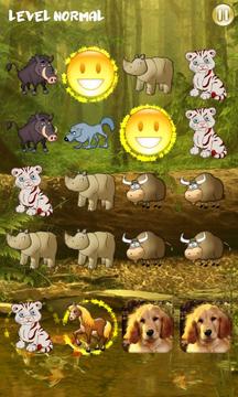 动物序列游戏截图3