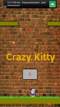 Crazy Kitty游戏截图2