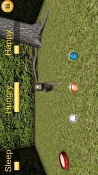 虚拟猫3D游戏截图4