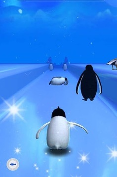 Flight Penguin游戏截图3