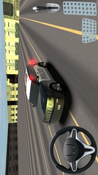 警车停车3D游戏截图3