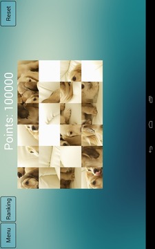 Jigsaw Puzzle Dogs游戏截图3