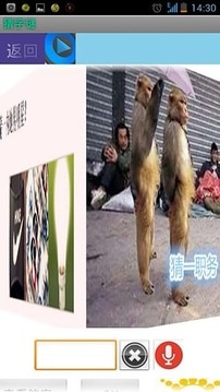 小看谜语游戏截图1