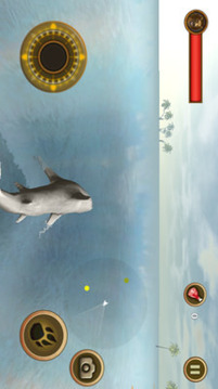 鲨鱼攻击3D游戏截图3