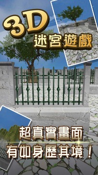 3D 迷宮大考驗游戏截图4