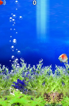 Fish Tour游戏截图2