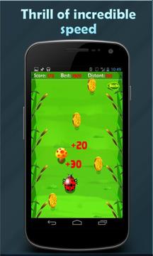 Hungry Ladybug游戏截图3