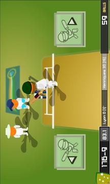 SUPER CRICKET游戏截图5