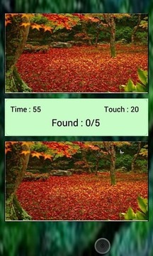 找到差异鸟游戏截图2