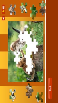 Cute Cats Puzzles - 免费游戏截图4