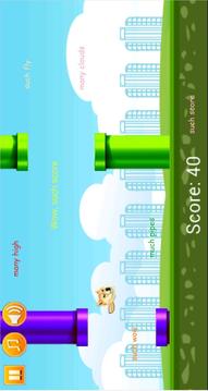 Such Flappy Doge游戏截图3