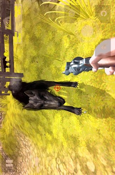 勇敢 狼 獵人游戏截图5