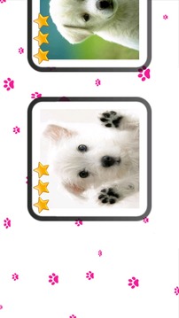 My Little Dog Kids Puzzle游戏截图5