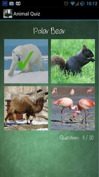 Know Your Animals游戏截图1