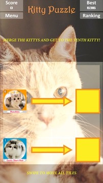 猫＋猫游戏截图2