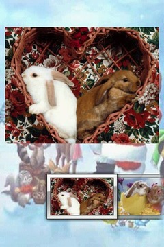 圣诞兔拼图 Christmas Bunny Puzzle游戏截图2