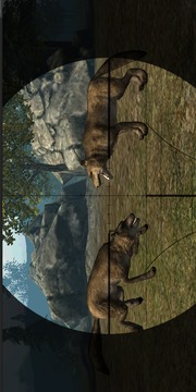 狼猎人2015年游戏截图5