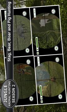 丛林动物狩猎2，3D游戏截图4