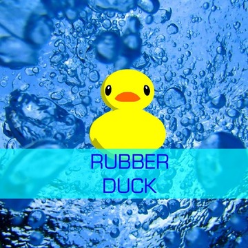 Duck AR!游戏截图1