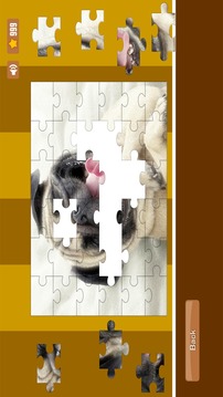 Sweet Dogs Puzzles - 免费游戏截图4