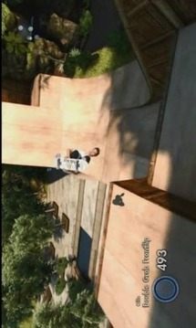 Skateboard pro 滑板王游戏截图3