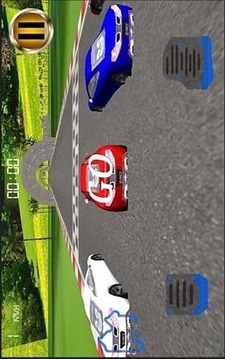 冠军 汽车 赛跑游戏截图5