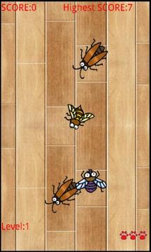 cat_and_insects游戏截图3