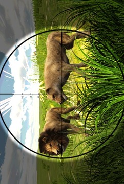 Safari Hunting: Animal Sniper游戏截图3