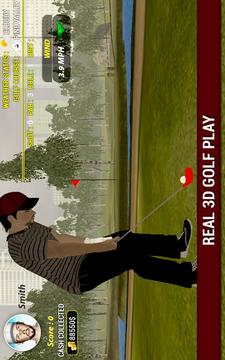 职业高尔夫玩3D游戏截图1