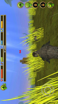3D鳄鱼世界游戏截图1