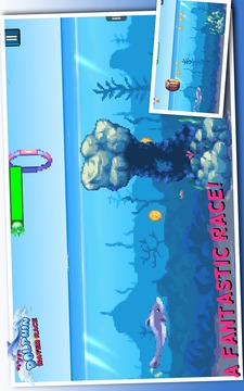 海豚水上竞赛游戏截图5