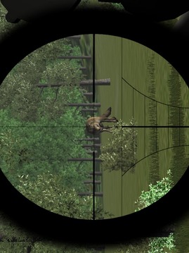 杀狼狙击手3D狩猎游戏截图5