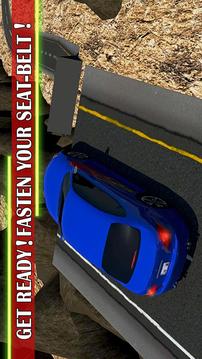 汽车特技跳跃3D游戏截图3