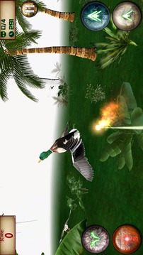 野生龙： 鸟猎人游戏截图1