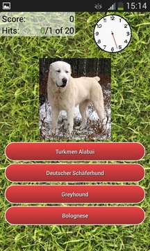 测验的犬种游戏截图2