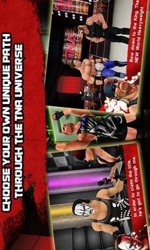 TNA格斗大赛游戏截图2