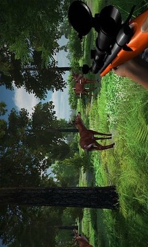 丛林狩猎鹿狙击手游戏截图4