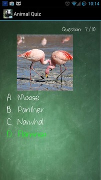 Know Your Animals游戏截图2