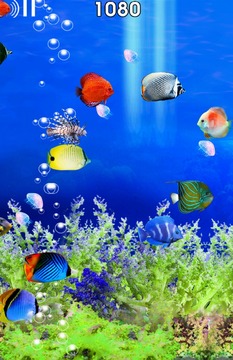 Fish Tour游戏截图3