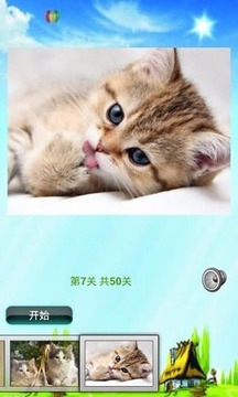 猫咪拼图儿童游戏游戏截图5