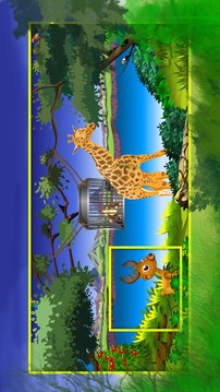 动物笼逃生游戏截图3