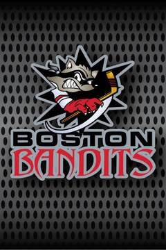 Boston Bandits Hockey游戏截图2